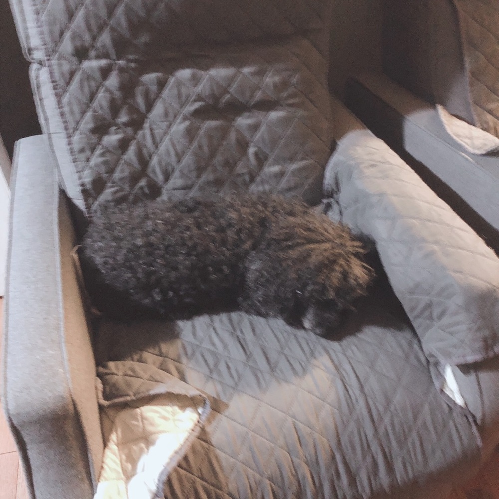 Meet your Posher, Gabriela